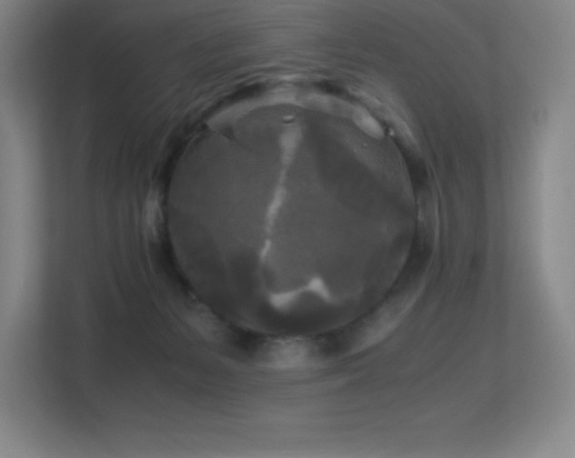 X0000113250127200909101436