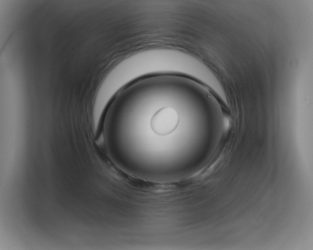 X0000113250128200909101436