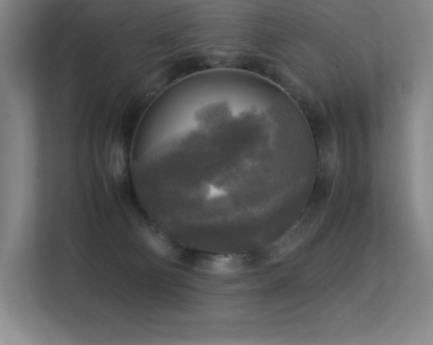 X0000113250130200909101436
