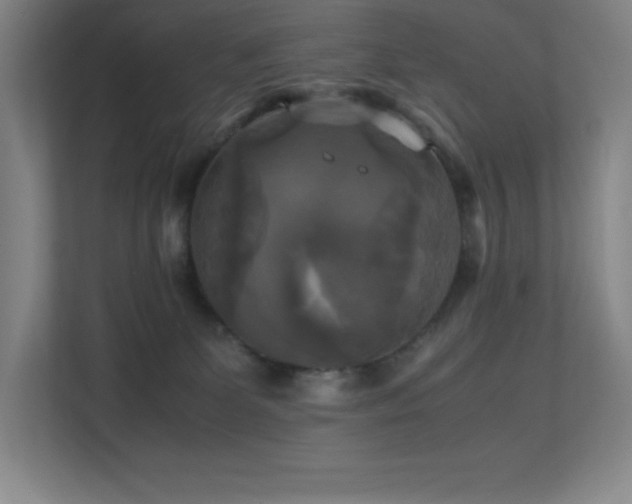 X0000113250131200909101436