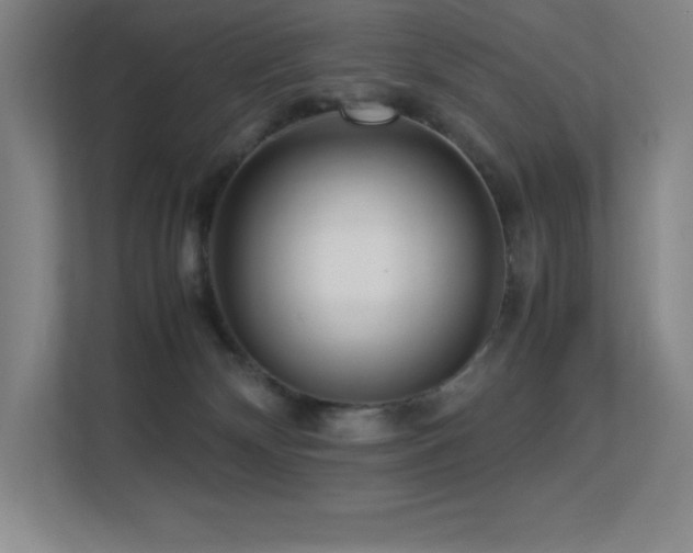 X0000113250132200909101436