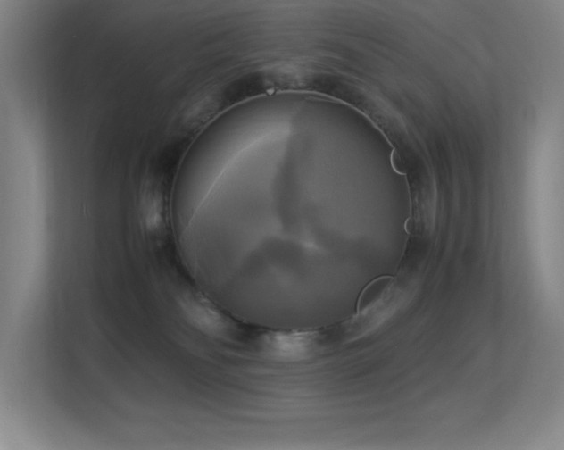 X0000113250134200909101436
