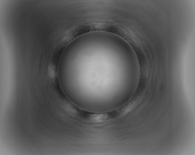 X0000113250135200909101436