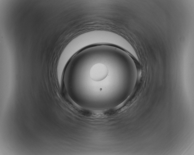 X0000113250137200909101436