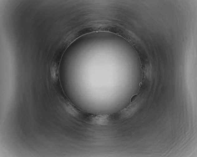 X0000113250138200909101436
