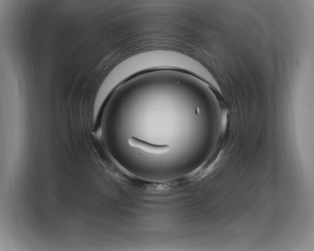 X0000113250140200909101436