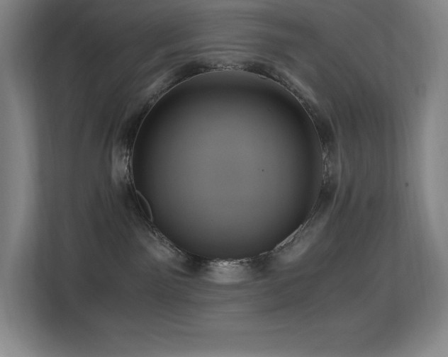 X0000113250141200909101436
