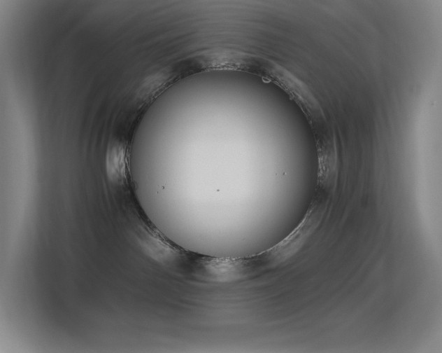 X0000113250142200909101436