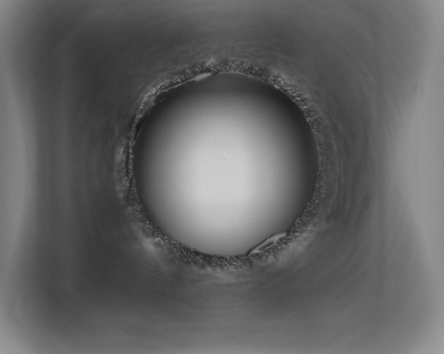 X0000113250144200909101436