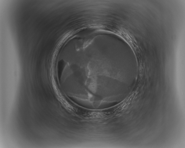 X0000113250145200909101435
