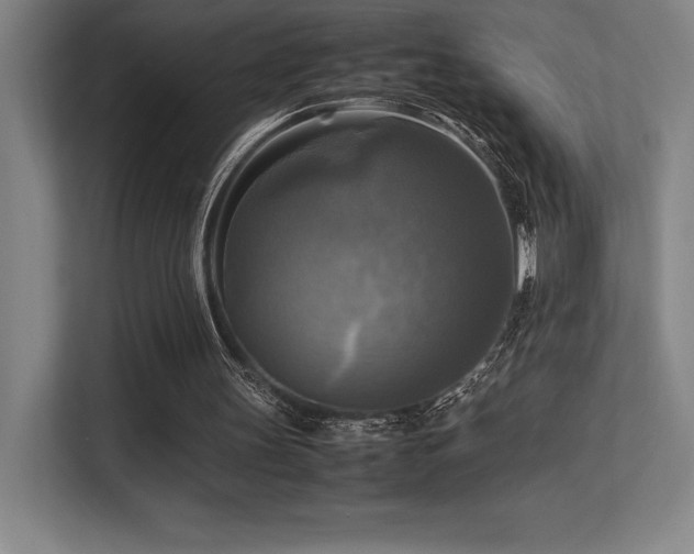 X0000113250147200909101435