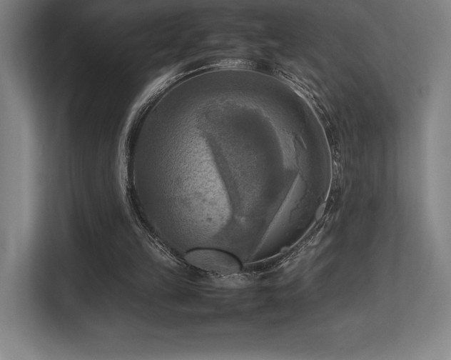 X0000113250149200909101435