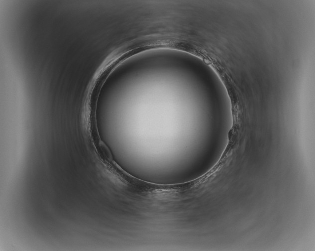 X0000113250150200909101435