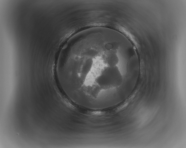 X0000113250153200909101435