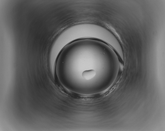 X0000113250154200909101435