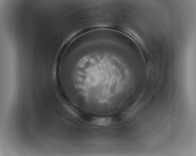 X0000113250155200909101435