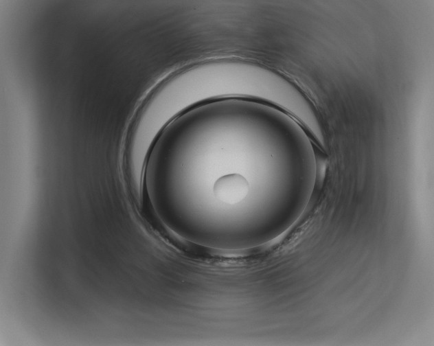 X0000113250156200909101435