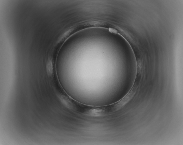 X0000113250158200909101435