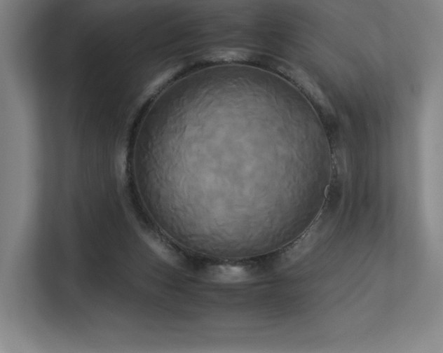 X0000113250159200909101435