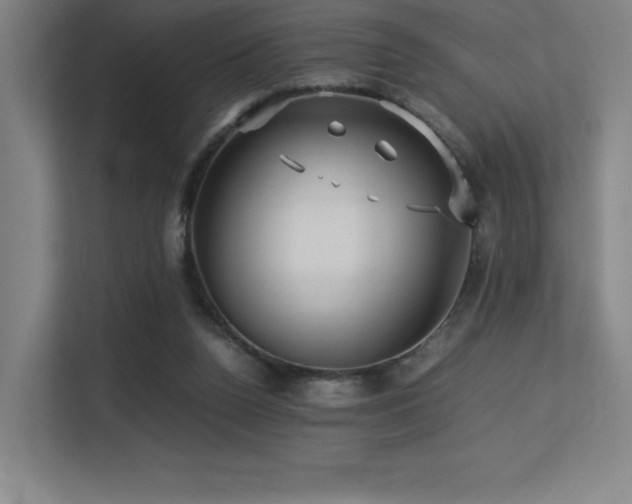 X0000113250160200909101435