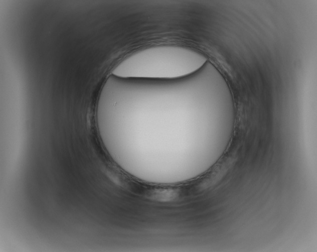 X0000113250161200909101435