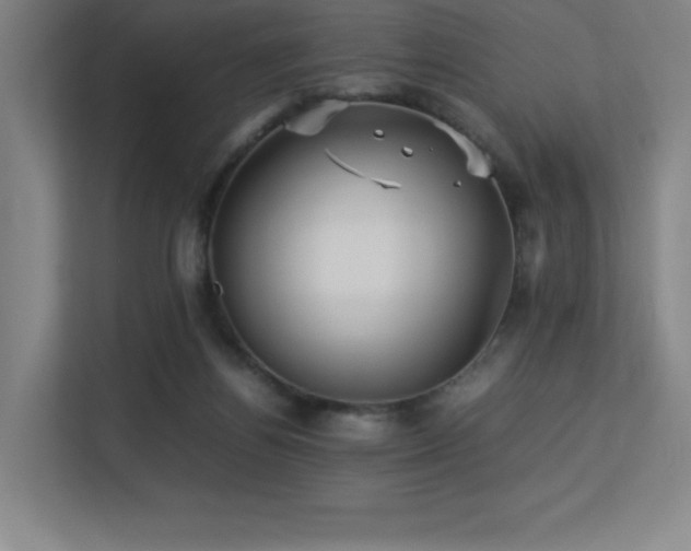 X0000113250164200909101435