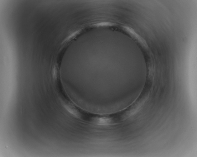 X0000113250165200909101435
