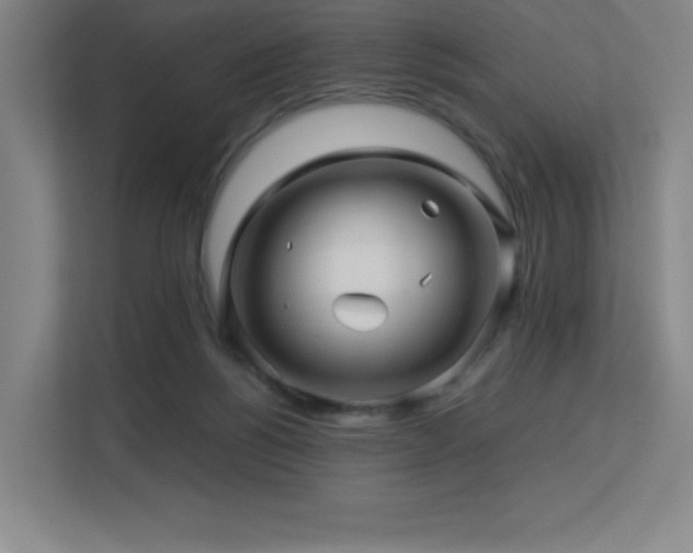 X0000113250168200909101435