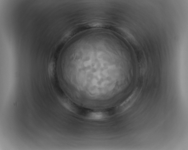 X0000113250171200909101435