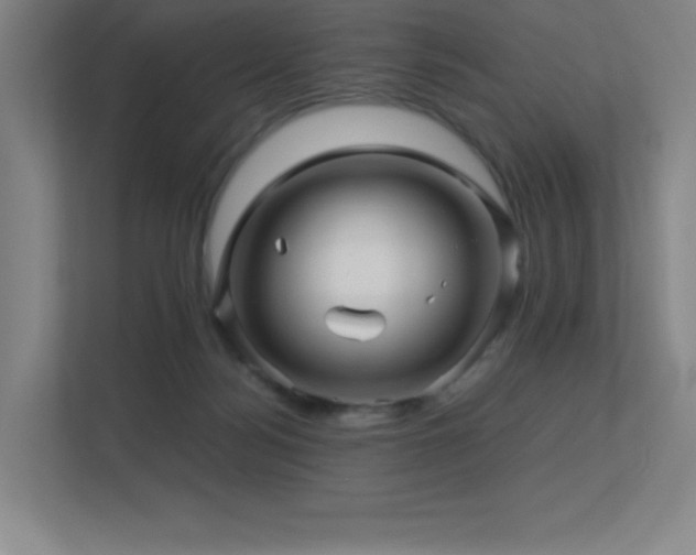 X0000113250172200909101435