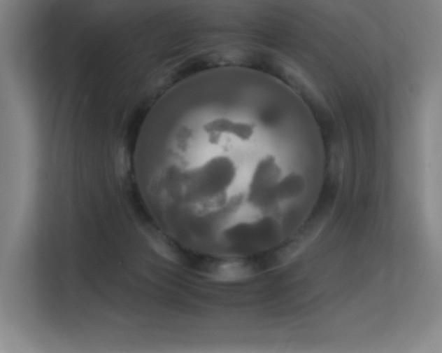 X0000113250173200909101435