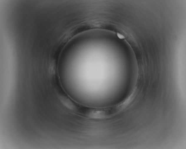 X0000113250174200909101435