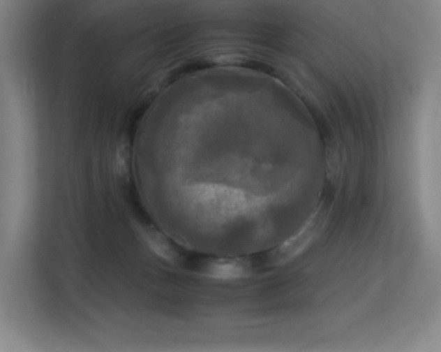 X0000113250175200909101435