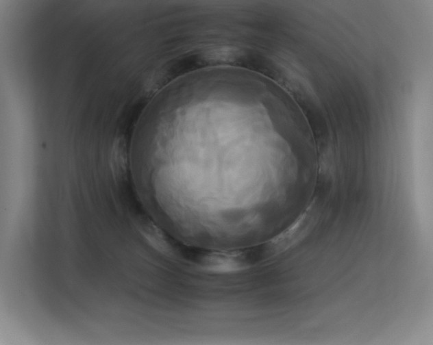 X0000113250179200909101435