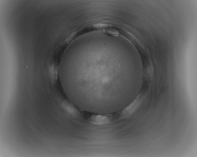 X0000113250180200909101435