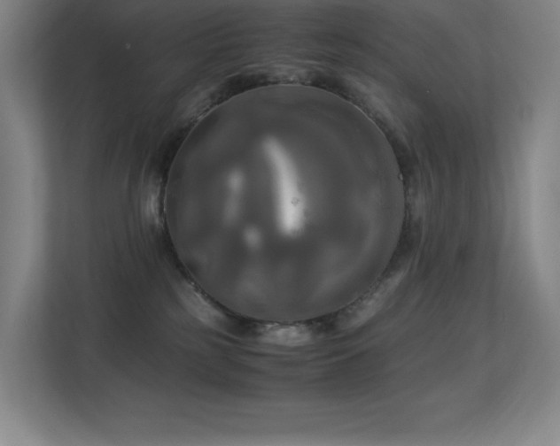 X0000113250185200909101436