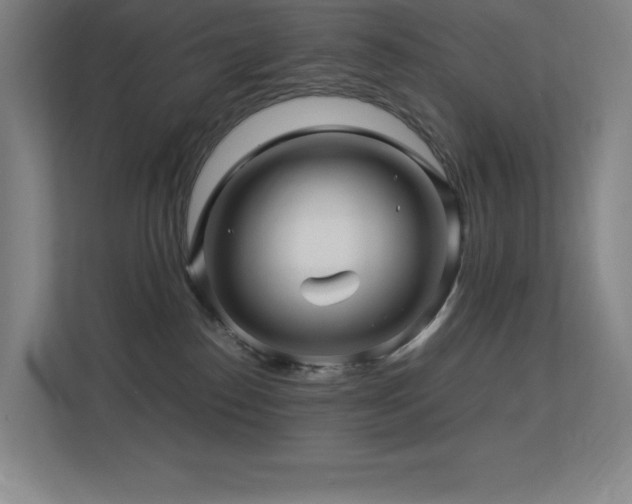 X0000113250186200909101436