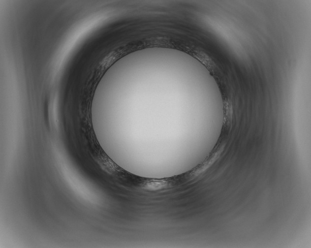 X0000113250189200909101436