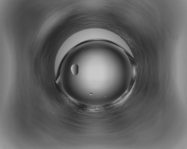 X0000113250190200909101436
