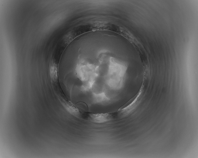 X0000113250191200909101436