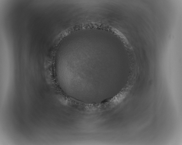 X0000113250192200909101436