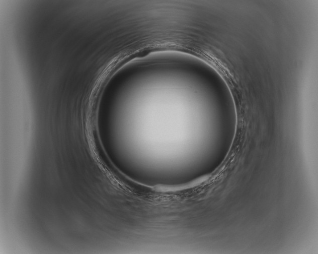 X0000113250193200909101435