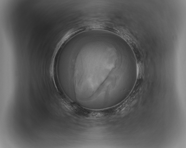 X0000113250195200909101435