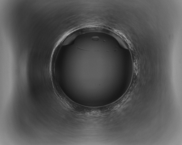 X0000113250196200909101435