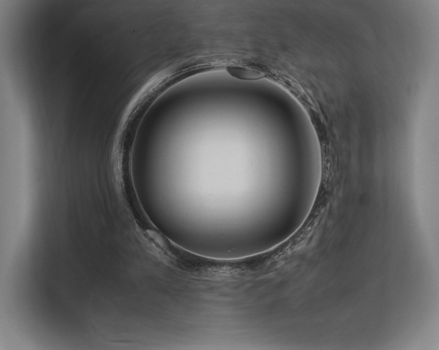 X0000113250197200909101435