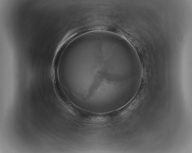 X0000113250198200909101435