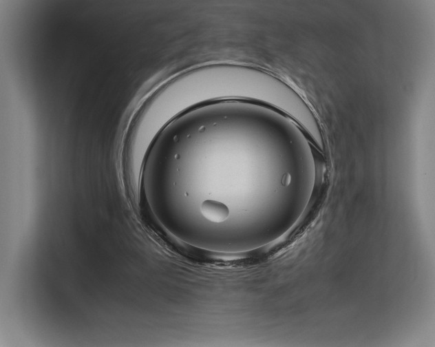 X0000113250199200909101435