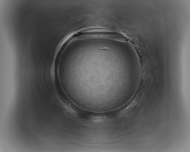 X0000113250200200909101435