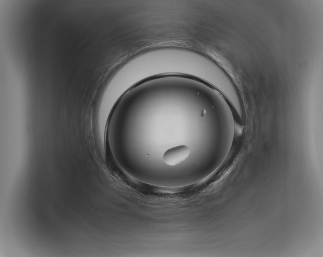 X0000113250201200909101435