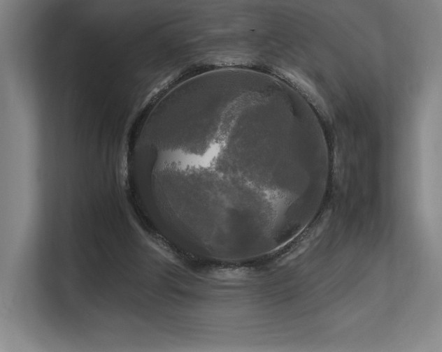 X0000113250202200909101435